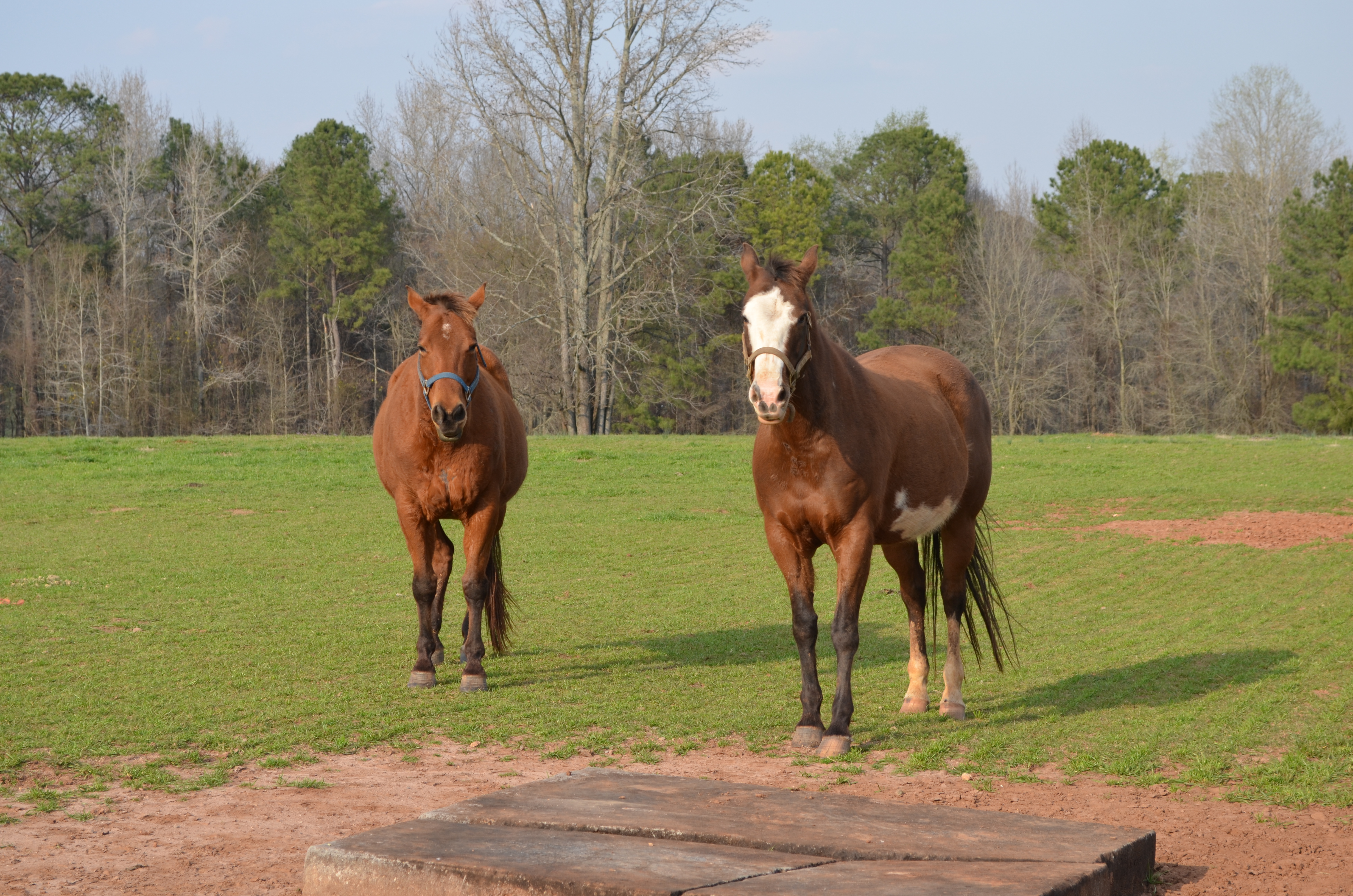 ./2014/Southern Cross/DSC_4038.JPG